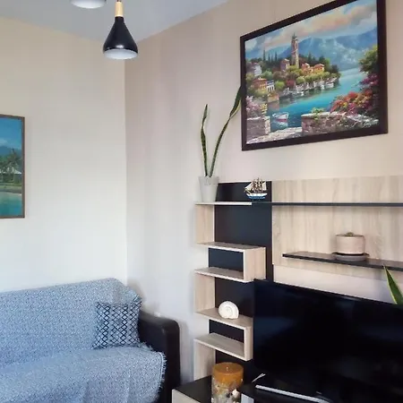 Napier Apartment