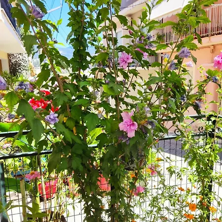 Apartamento Napier *