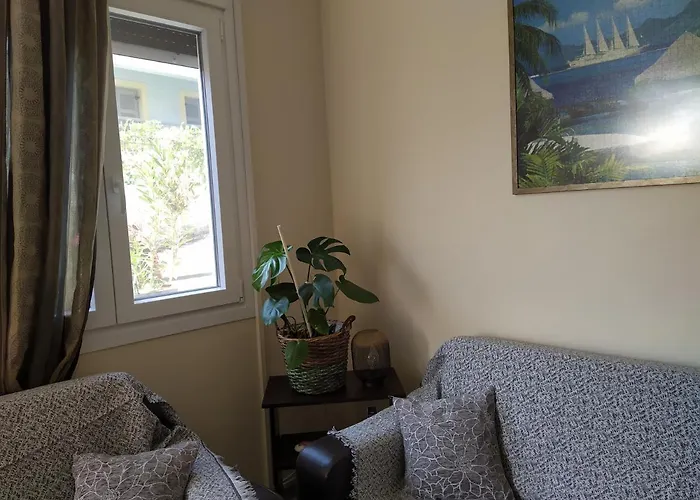 Napier Apartament
