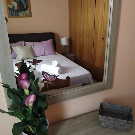 Napier * Argostoli (Kefalonia)